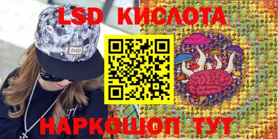 PSILOCYBIN Можга